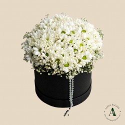 Siyah Kutuda Papatya Aranjmanı