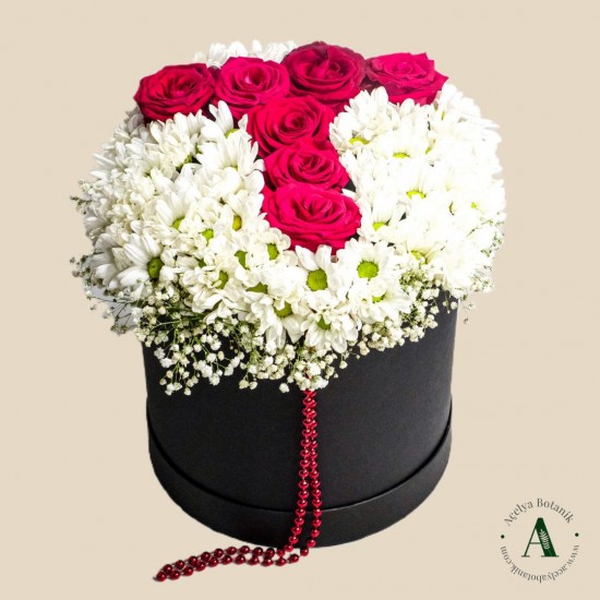 Kutuda Baş Harf Aranjmanı