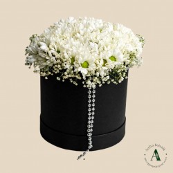 Siyah Kutuda Papatya Aranjmanı