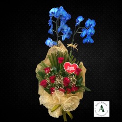 Saksıda Mavi Orkide Aranjmanı