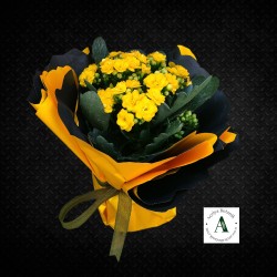 Sarı Kalanchoe Saksı Bitkisi