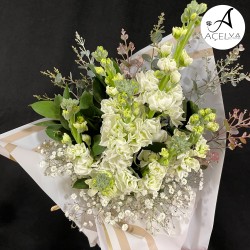 Miss Kokulu Şebboy Buketi