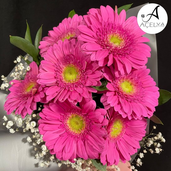 Pembe Gerbera Buketi