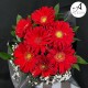 Kırmızı Gerbera Buketi