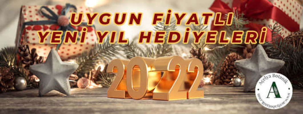 2022 Uygun Fiyatlı Yeni Yıl Hediyeleri