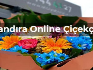 Kocaeli Kandıra Çiçekci Kocaeli Kandıra Çiçekci