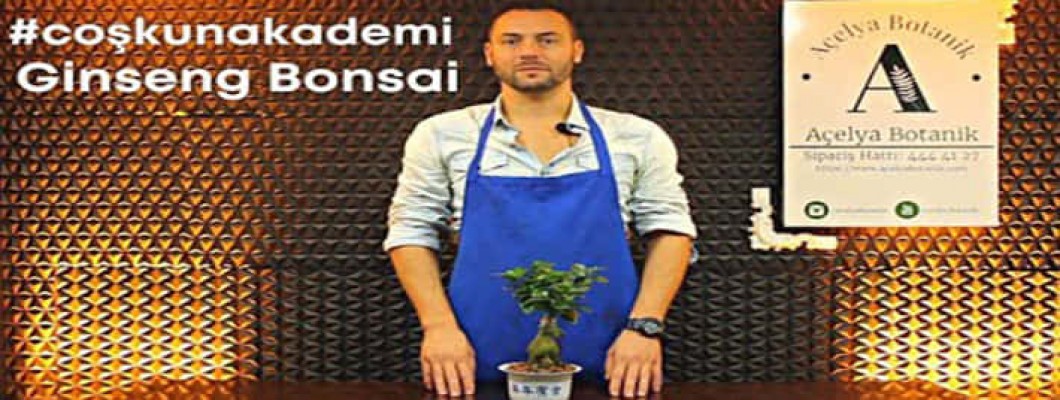 Bonsai (Ginseng Bonsai) Bakımı Nasıl Yapılır? | Saksı Konumu Nasıl Olmalı? #CoşkunAkademi