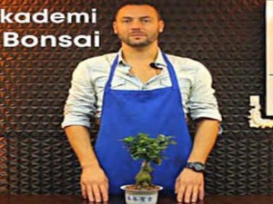 Bonsai (Ginseng Bonsai) Bakımı Nasıl Yapılır? | Saksı Konumu Nasıl Olmalı? #CoşkunAkademi Bonsai (Ginseng Bonsai) Bakımı Nasıl Yapılır? | Saksı Konumu Nasıl Olmalı? #CoşkunAkademi