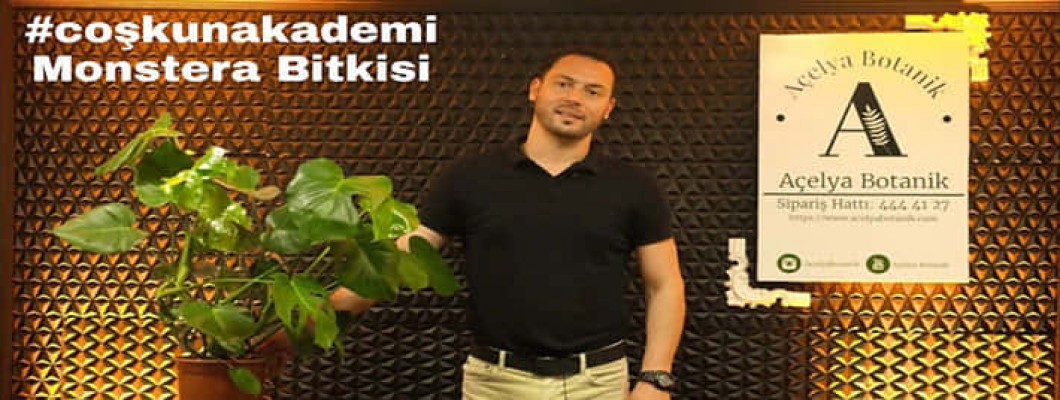 Monstera Bitkisi Deve Tabanı Nasıl Bir Bitkidir? | Bakımı Nasıl Yapılır? #CoşkunAkademi