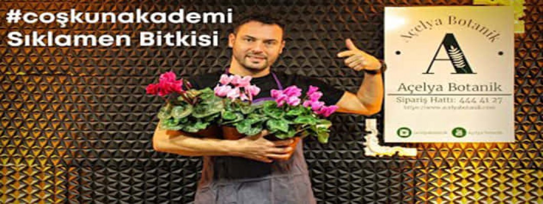 Sıklamen (Cyclamen coum) Bakımı Nasıl Yapılır? | Çiçek açmadı sorunu ne? #CoşkunAkademi