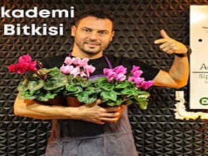 Sıklamen (Cyclamen coum) Bakımı Nasıl Yapılır? | Çiçek açmadı sorunu ne? #CoşkunAkademi Sıklamen (Cyclamen coum) Bakımı Nasıl Yapılır? | Çiçek açmadı sorunu ne? #CoşkunAkademi