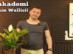 Spathiphyllum Wallisii, Barış Çiçeği Bakımı Nasıl Yapılır? | Yelken Çiçeği Nasıl Sulanır? #CoşkunAkademi