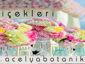 Düğün Çiçek Notları