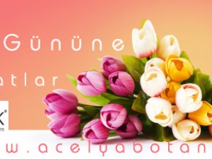 Sevgililer Günü Çiçekleri