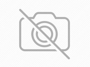 Çiçek Göndermenin Tam Zamanı Çiçek Göndermenin Tam Zamanı